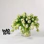 Green And White Parrot Tulips Fresh Flower Bouquet, thumbnail 1 of 3
