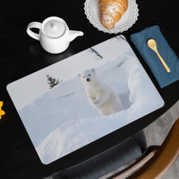 Placemats Featuring A Polar Bear Cub, 2 of 2