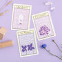'The A To Z Of Wonders' Abc Flash Cards, thumbnail 7 of 12