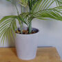 90cm Artificial Palm Tree Potted In Decorative Planter, thumbnail 2 of 4