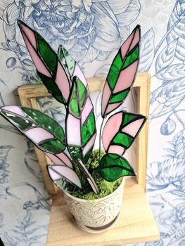 Stromanthe Princess Triostar Stained Glass Plant, 2 of 4