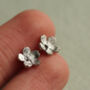 Forget Me Not Flower Stud Earrings, thumbnail 4 of 6