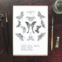 Archaeolepis Moth Art Print, thumbnail 4 of 8