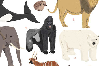 Personalised Mammals Print, 3 of 7