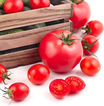 Vegetable Plants Mixed Multipack 36 X Plug Plants, 2 of 8