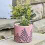 Spring Fern Pink Ceramic Milk Churn Vase Easter Gift, thumbnail 7 of 10