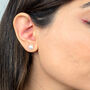 Handpicked Freshwater Silver Pearl Stud Earrings, thumbnail 4 of 4