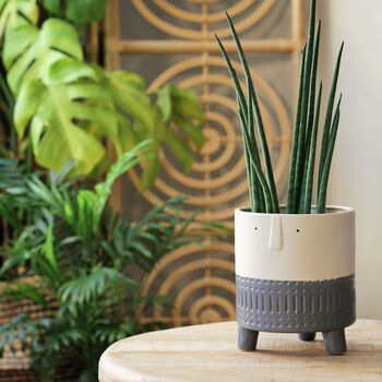 Ceramic 'Arnold' Planters In Grey, 2 of 4