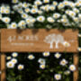 Extra Large Outdoor Wooden Sign With Posts, thumbnail 2 of 12