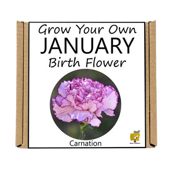 Unusual Birthday Gardening Gift. January Birth Flower, 3 of 3