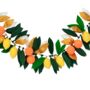 Citrus Fruit Party Garland, thumbnail 4 of 4