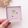 Gift Boxed 'Good Luck' Earrings, thumbnail 1 of 8