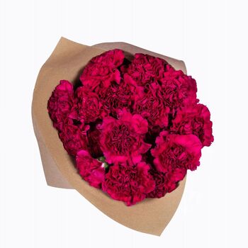 Hot Pink Carnations Fresh Flower Bouquet, 2 of 3