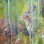 The Song Of The Deer, thumbnail 4 of 8