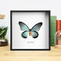 Giant Blue Swallowtail Handcrafted Frame, thumbnail 1 of 3