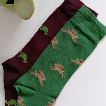 Tortoise And Hare Men's Socks, 4 of 4