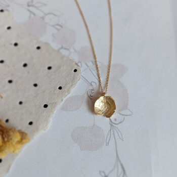 Pressed Flower Daisy Necklace Gold Plated, 4 of 9