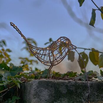 Indoor / Outdoor Hanging Robin Light, 3 of 4