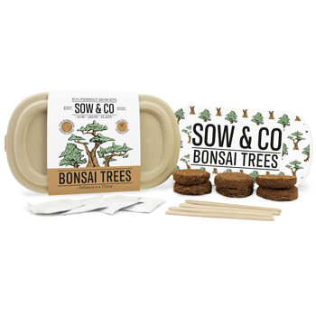 Sow And Co Grow Kits Chilli, Bonsai, Herbs Or Cactus, 4 of 12