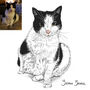 Personalised Watercolour Pet Portrait, thumbnail 7 of 12