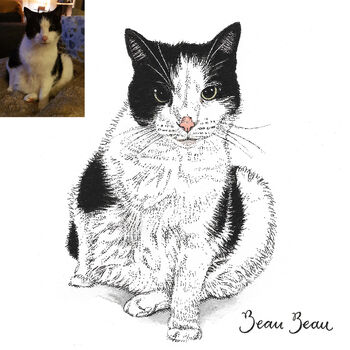Personalised Watercolour Pet Portrait, 7 of 12