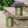 Set Of Two Country Style Planters, thumbnail 1 of 4