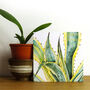 Gold Foiled Agave Birthday Card, thumbnail 1 of 4