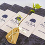 Rowan 'The Tree Of Life' Gift, thumbnail 6 of 6