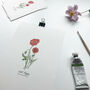 ‘Field Poppy’ Wildflower Botanical Giclée Art Print, thumbnail 2 of 3