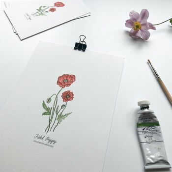 ‘Field Poppy’ Wildflower Botanical Giclée Art Print, 2 of 3