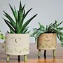 Smiley Face Personalised Ceramic Plant Pot With Dots, thumbnail 7 of 9