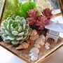 Gold Geometric Terrarium Kit With Succulent Plant Lover Gift, thumbnail 4 of 12