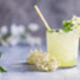Fruit Plants Elderflower, thumbnail 9 of 12