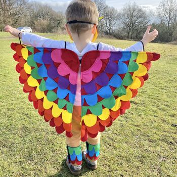 Rainbow Felt Bird Costume For Children And Adults, 3 of 9