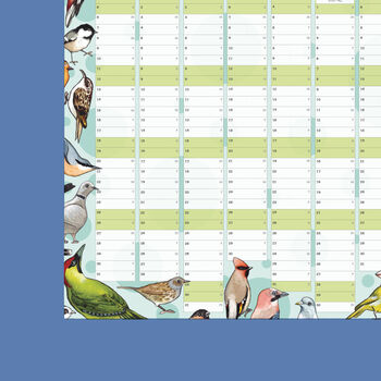 2025 Garden Birds Wall Calendar And Year Planner, 5 of 5