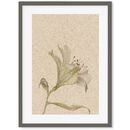 Vintage Floral Stem Art Print By Abstract House | notonthehighstreet.com