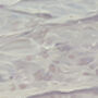 White Ocean Dreaming, thumbnail 8 of 9