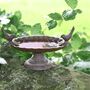 Traditional Brown Cast Iron Two Bird Bath And Feeder Gift, thumbnail 3 of 4