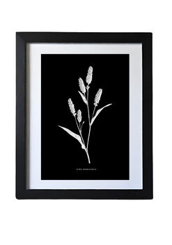 Nine Framed Botanical Wall Art Prints, 10 of 12