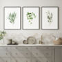 Set Of Three Modern Botanical Home Prints, thumbnail 1 of 7