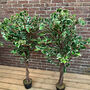 Pair Of Artificial Topiary Fig Trees, thumbnail 3 of 6