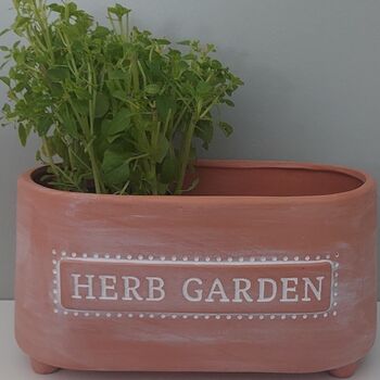 Terracotta Herb Garden Planter, 2 of 5
