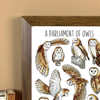 Barn Owls Watercolour Art Print, 3 of 7