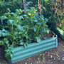 Sage Green Veggie And Herb Raised Bed With Cover, thumbnail 9 of 9