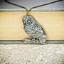 Tawny Owl Necklace, thumbnail 1 of 3