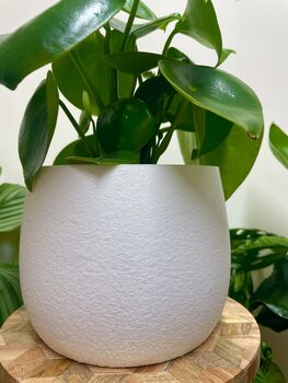 Vibrant House Plant Pot Gardening Gifts Lightweight Planter, 6 of 7