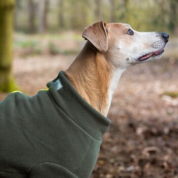Lurcher Polartec Water Resistant Dog Coat, 3 of 5
