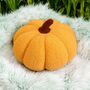 Boucle Autumn Pumpkin Decor / Cushion, thumbnail 9 of 10