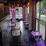 Sip And Ink: Learn To Tattoo For Two In London's Tattoo Bar, thumbnail 6 of 12