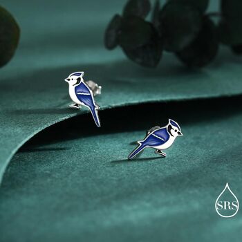 Blue Jay Sterling Silver Stud Earrings, 5 of 11